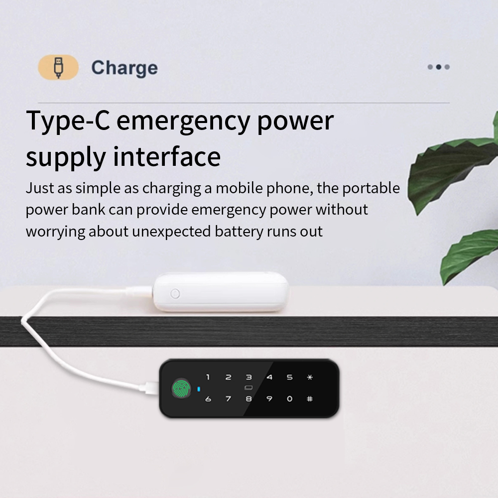 Tuya Bluetooth Smart Wood Cabi - đánh giá và giá Cabinet Lock Key