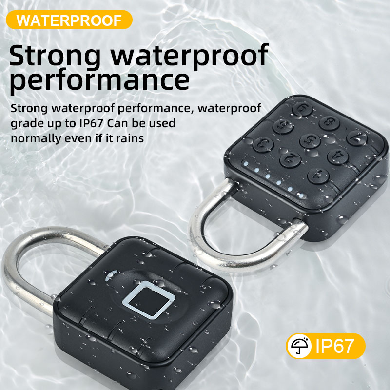 Smart Pad Lock Fingerprint Pad - đánh giá và giá Cabinet Lock Key