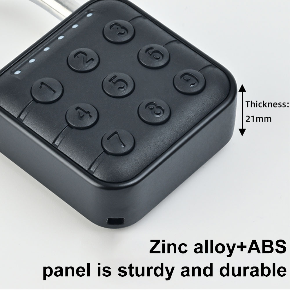 Smart Pad Lock Fingerprint Pad - đánh giá và giá Cabinet Lock Key